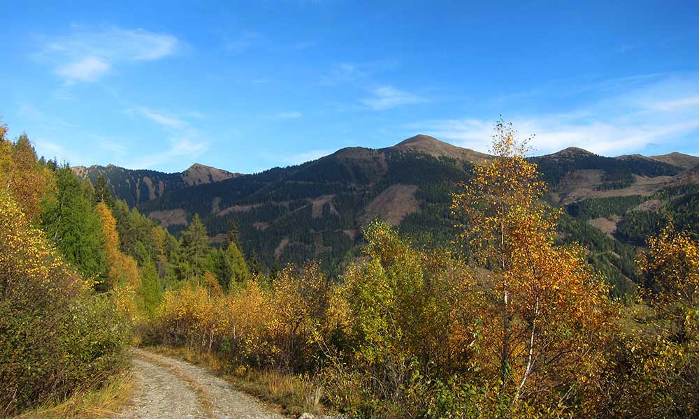 Schuettkogel